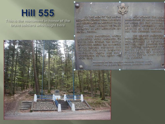 Monument on Hill 555