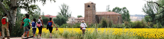 Camino Santiago Soria