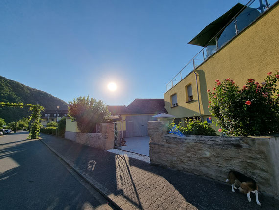 Ferienwohnung mit Moselblick - Große Ferienwohnung mit Moselblick nähe  Cochem