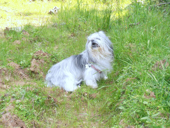 le 26 juillet Lily comme la vie était belle au soleil