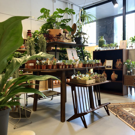 Een overview van onze shop in shop in het Green UP warenhuis