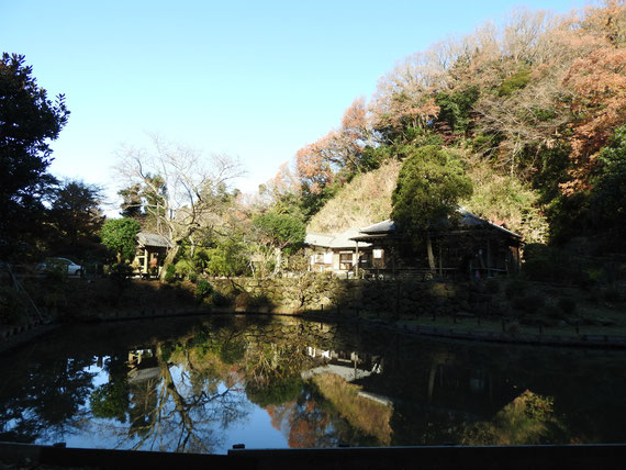 大覚池に映る回春院