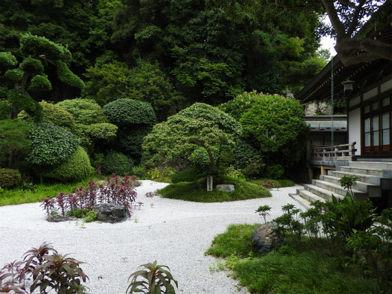 迦葉堂裏の古山水庭園