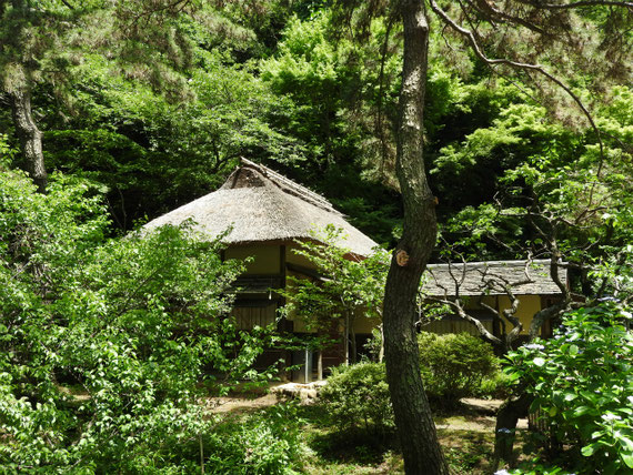 左側面からの横笛庵