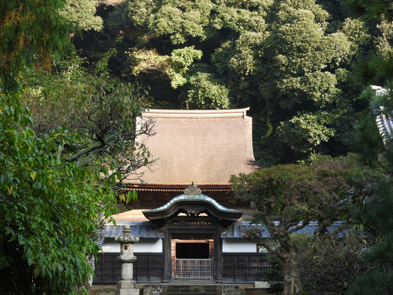 11月の舎利殿