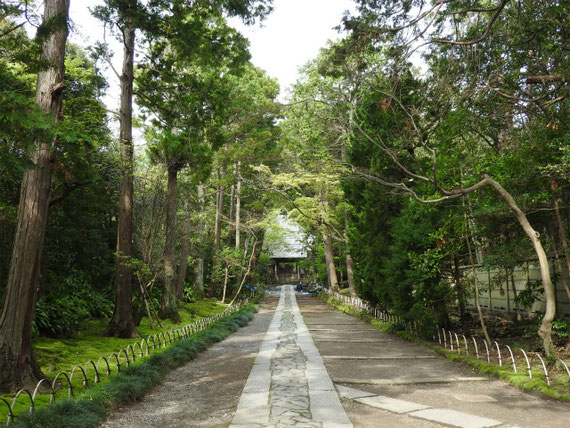 本堂へ向かう石畳の参道