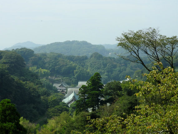 半僧坊展望台から　深い樹木に包まれた建長寺