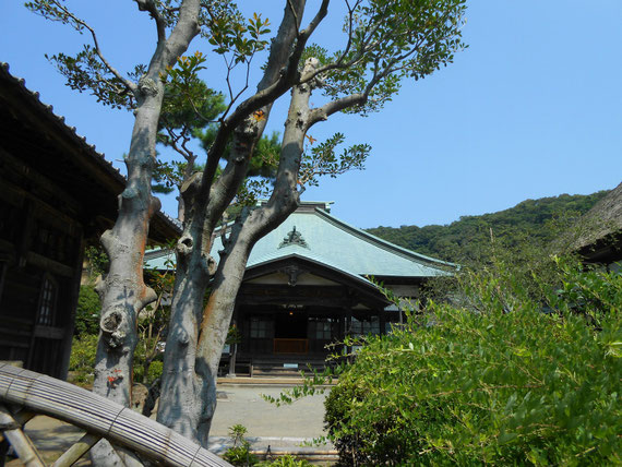 青空を背景に、本堂（龍護殿）。鎌倉の空はいつも青いです。