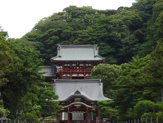 真夏の鶴岡八幡宮