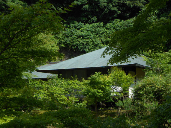 円覚寺　正伝庵。　これが日本のお寺だよね。