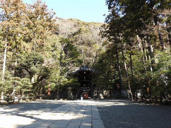 参道から見る　源頼朝白旗神社