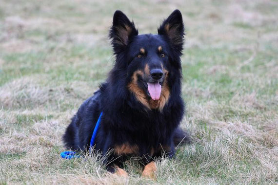 Alf am 19.02.2011