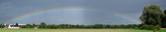 Regenbogen