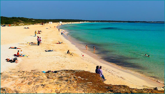 Praia de Es Trenc - Dunas - areia fina - Salinas - Caribe maiorquino