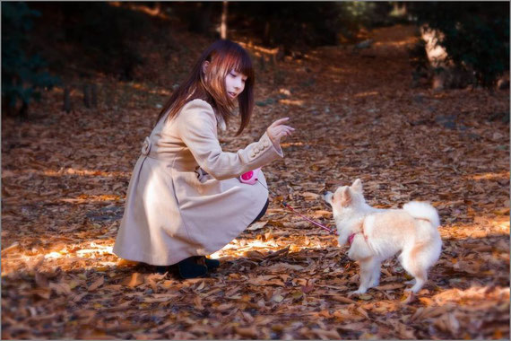 犬と遊ぶ女性