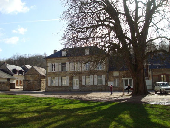 La mairie et son marronnier remarquable