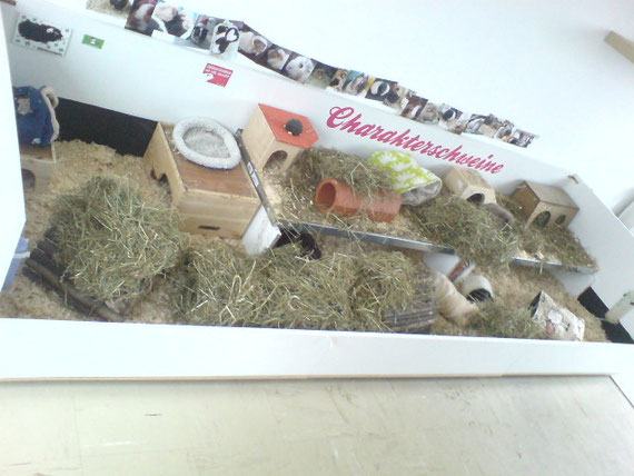 SchweineBau 2.0 - Charakterschweine