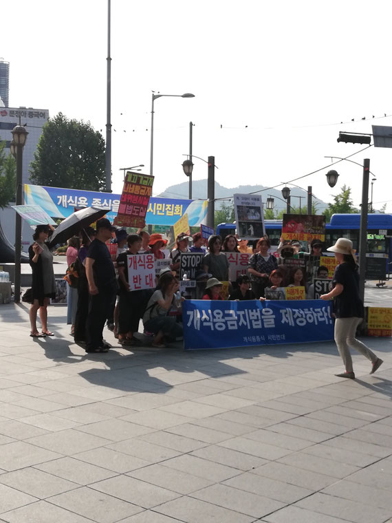 Manifestación en contra del consumo de carne de perro