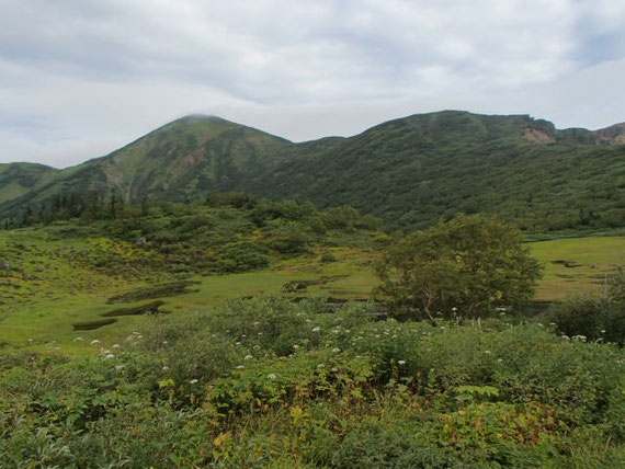 火打山　登山　ツアー　