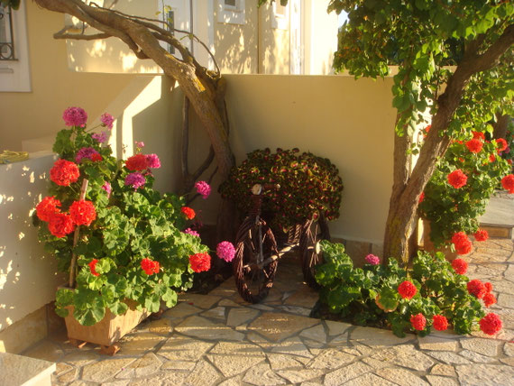 Kefalonia 2012