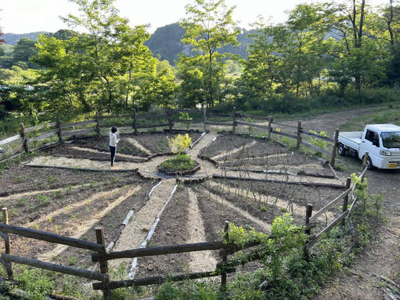 Wasserの無農薬野菜畑