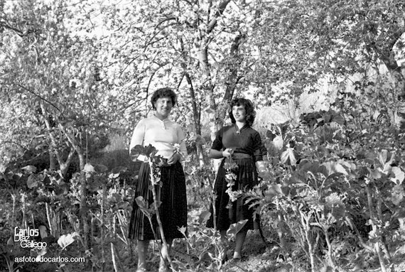 1958-Fisteus-chicas-primavera!-Carlos-Diaz-Gallego-asfotosdocarlos.com