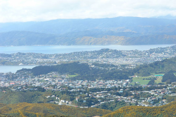 Blick auf die Miramar Halbinsel in der Wellingtoner Bucht