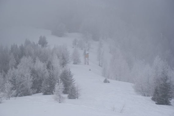 Abfahrtsroute hinunter zum Kalter Brunn Sattel