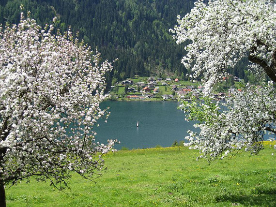 Am Weg zurück hinunter nach Feld am See bietet sich dieser herrliche Blick auf den Brennsee