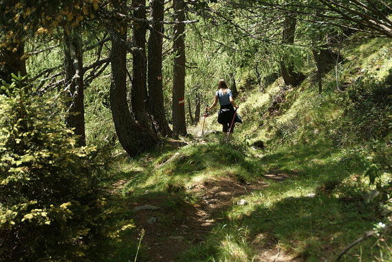 Am alten Almweg geht es hinunter