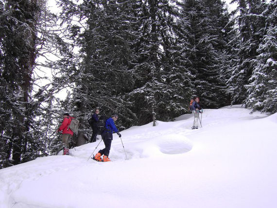 In Spitzenkehren geht es von Kälberhütte (1442m) Richtung Gipfel