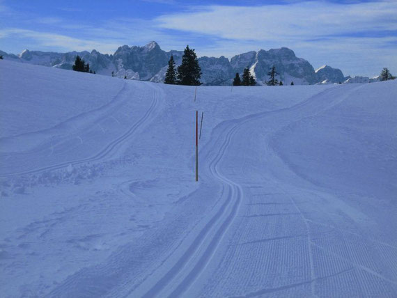 Blick nach Süden in die Julischen Alpen