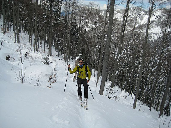 Aufstieg durch den Wald in rund 1300m Höhe