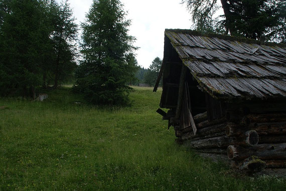 Auf den Almwiesen beim Aufstieg