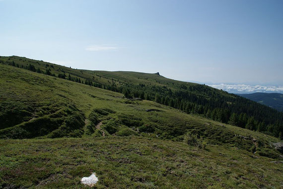 Der Große Sauofen (kleiner Spitz)