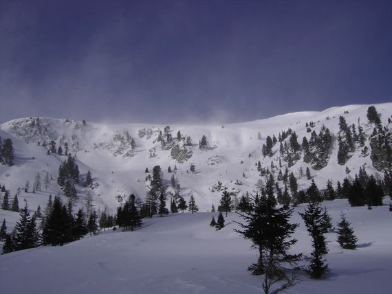 Der Blick nach Norden auf den Triebenkogl. Auch hier sahen wir sorglose Tourengeher ihre Spur Richtung Weingruber Törl ziehen. Ihre Aufstiegsspur wurde nur wenige Minuten später von einer Lawine gekreuzt. Auch hier ist der starke Wind sehr gut zu erkennen