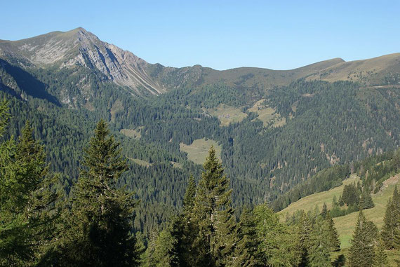 Blick von der Gusenalm zu den Siflitzer Hütten (Bildmitte) und dem Latschur (links)