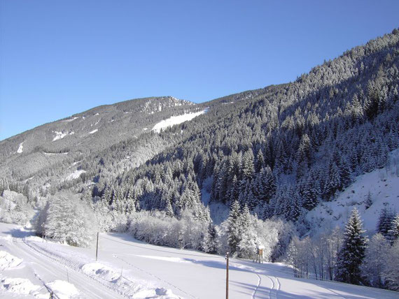 Vom Gasthof Braun aus nach Norden hin ist der Himmel wolkenlos