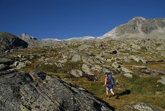 Auf den freien Almwiesen, links im Bild die Kordonspitze