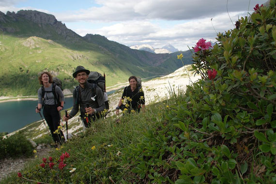 Blumen begleiten uns am Weg, im Hintergrund der Stausee (Lago Fedaia)