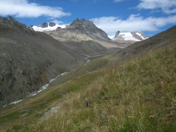 Der Blick zurück Richtung Vernagthütte (ganz klein in der Bildmitte), rechts die Vorgipfel der Hochvernagtspitze, in der Bildmitte die Hintergraslspitze (3325m) und links daneben der Fluchtkogel (3500m)