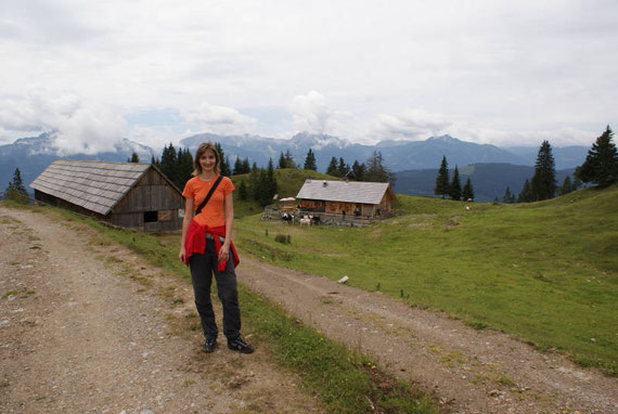 Bei der Jadersdorfer Ochsenalm, im Hintergrund die Karnischen Alpen