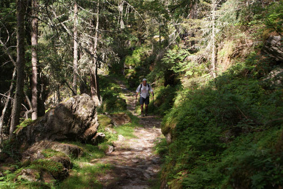 Am schönen Almweg zur Gartlalm