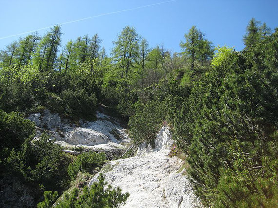 Aufstieg Richtung Hahnkogel, die Sonne hat hier mit dem Bergsteiger kein Erbarmen
