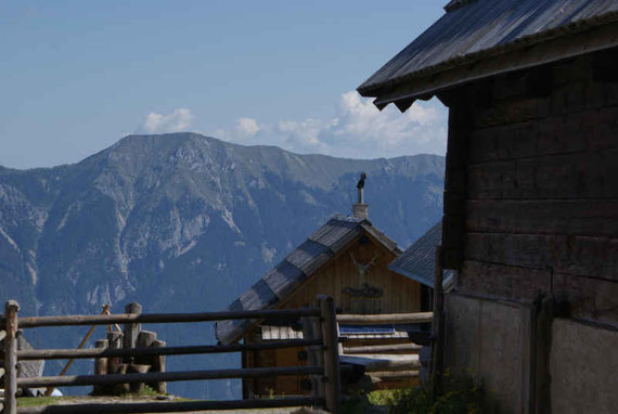 Poludniger Alm, im Hintergrund die Gailtaler Alpen