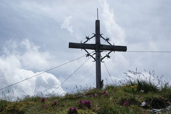 Am Eisenhut, mittlerweile in der Sonne
