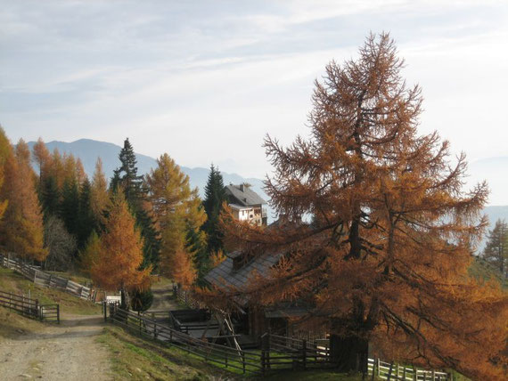 Start- und Zielpunkt die Kramerhütte
