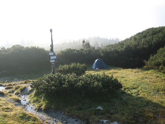 Unser 2. Zeltplatz, die ersten Sonnenstrahlen nach 2 Tagen im Hochnebel