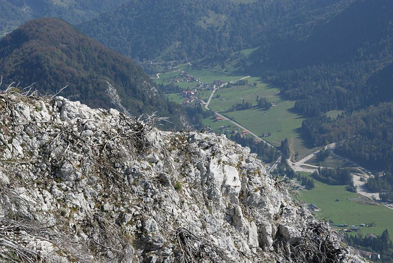 Blick über einen abgebrannten Rücken ins Tal