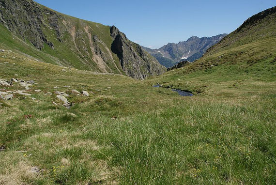 Auf den idyllischen Tanzböden